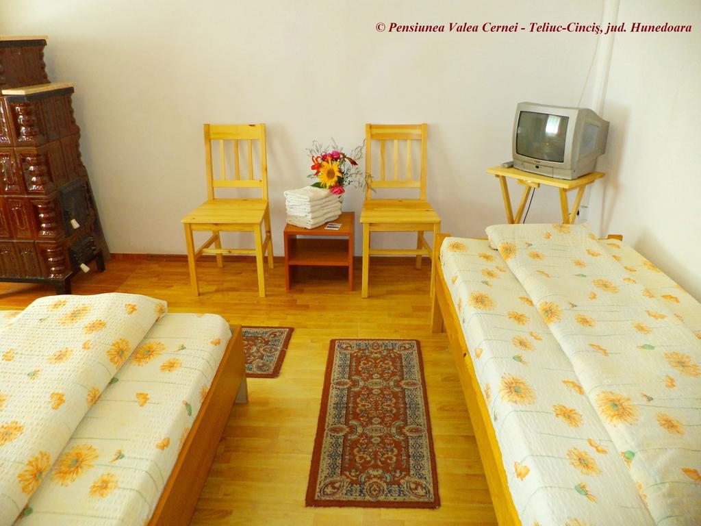 Pensiunea Valea Cernei Teliucu Inferior Quarto foto